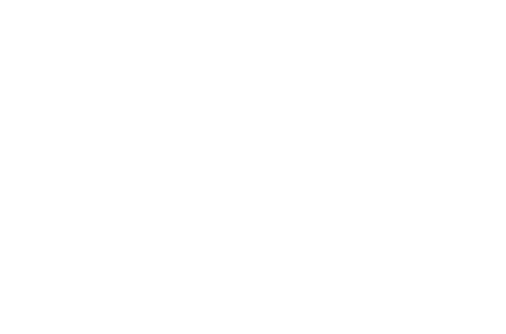 Orkla - Foods česko a Slovensko